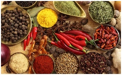 World of spices