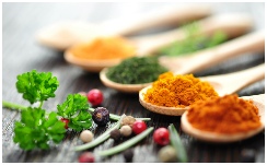 spices manufacturing